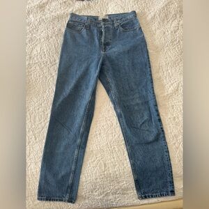 Everlane Blue Organic 90s Cheeky Jean